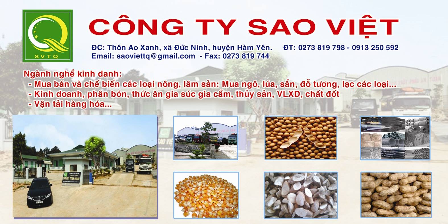 Cover image for Sao Việt Tuyên Quang