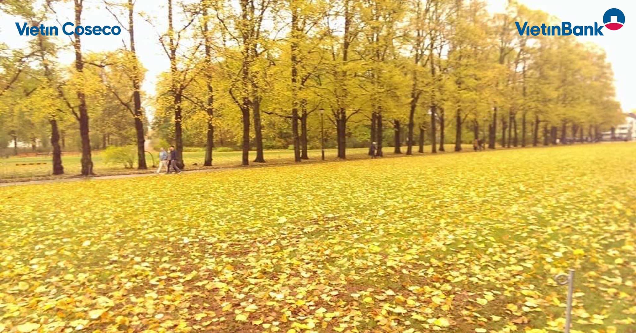 Cover image for Thương mại , dịch vụ, đầu tư Vietin