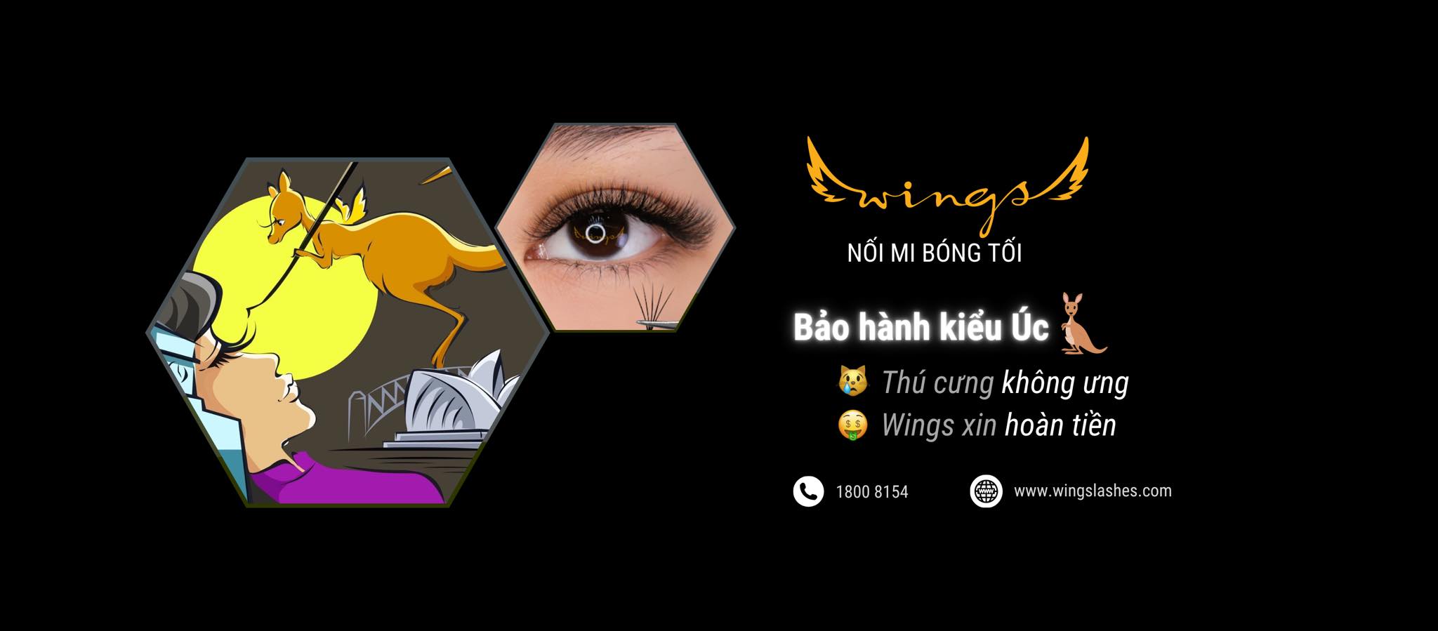 Cover image for Wings Lashes