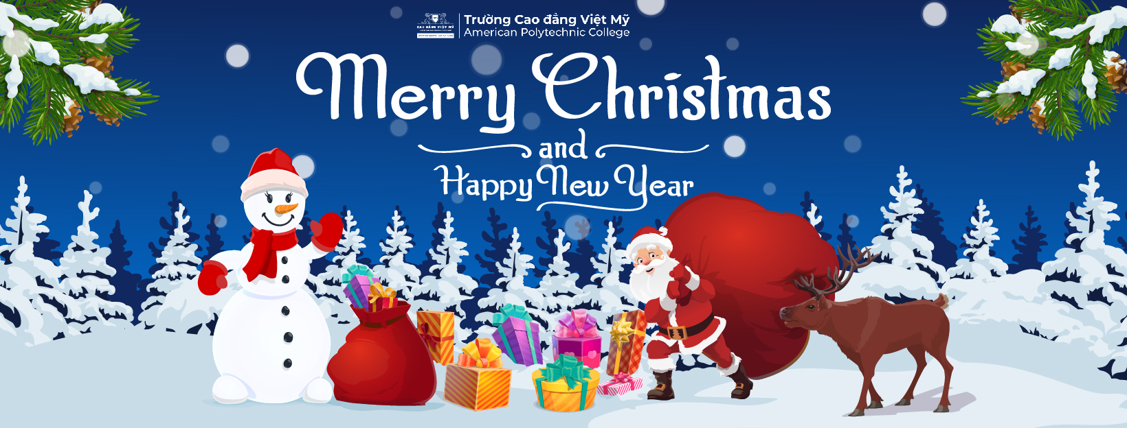 Cover image for Cao đẳng Việt Mỹ Hà Nội