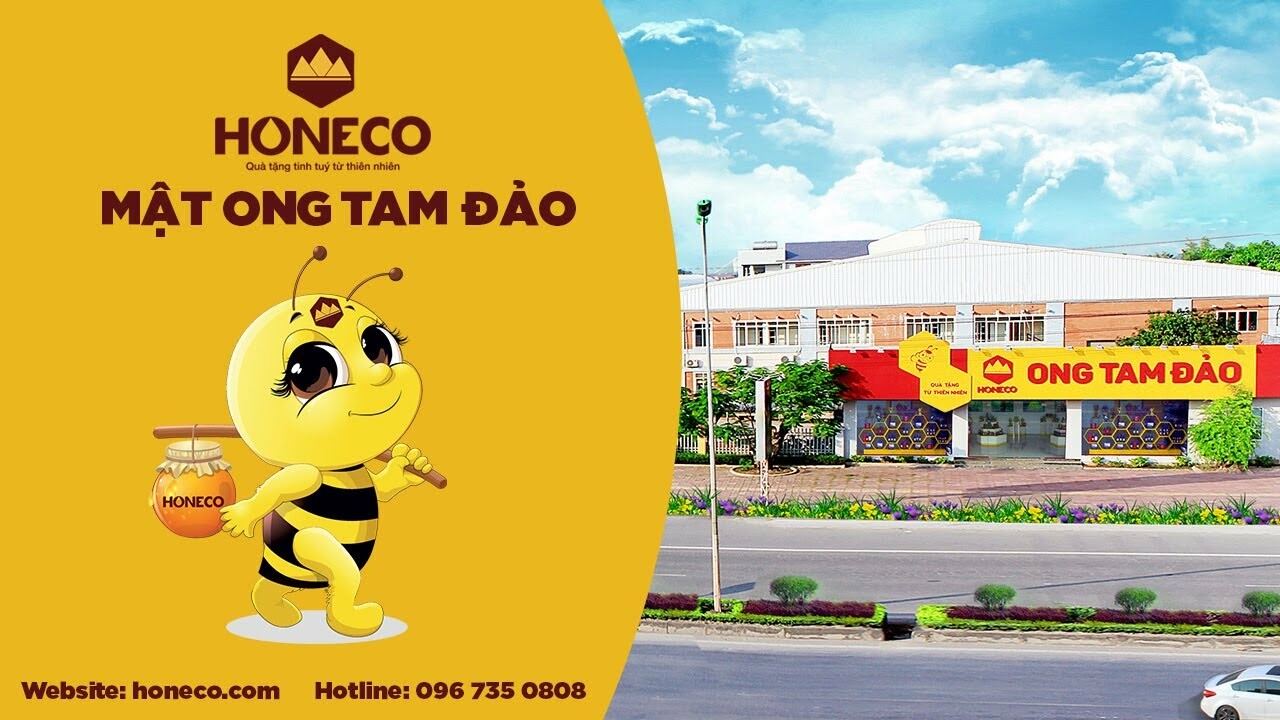 Cover image for Ong Tam Đảo - HONECO