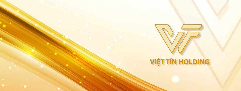 Cover image for VIỆT TÍN HOLDING