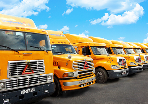 Cover image for Tân Nam Chinh