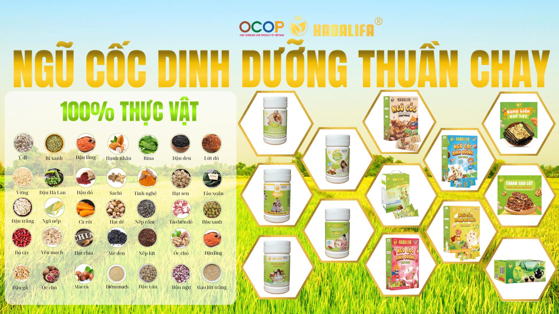 Cover image for Dinh Dưỡng Hadalifa