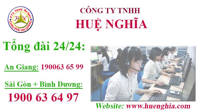 Cover image for HUỆ NGHĨA