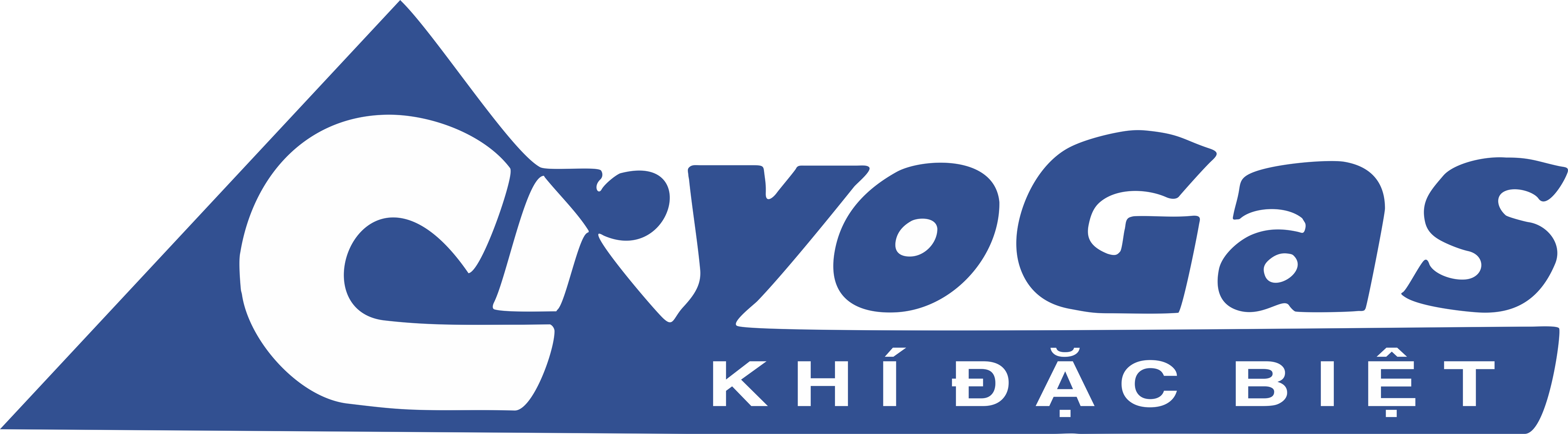 Cover image for CRYOGAS VIETNAM