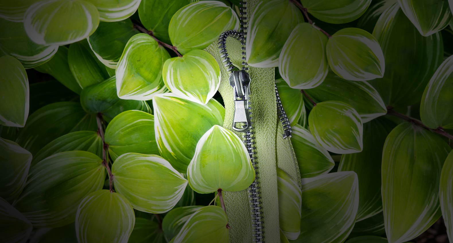 Cover image for Dây Kéo Tex Việt Nam