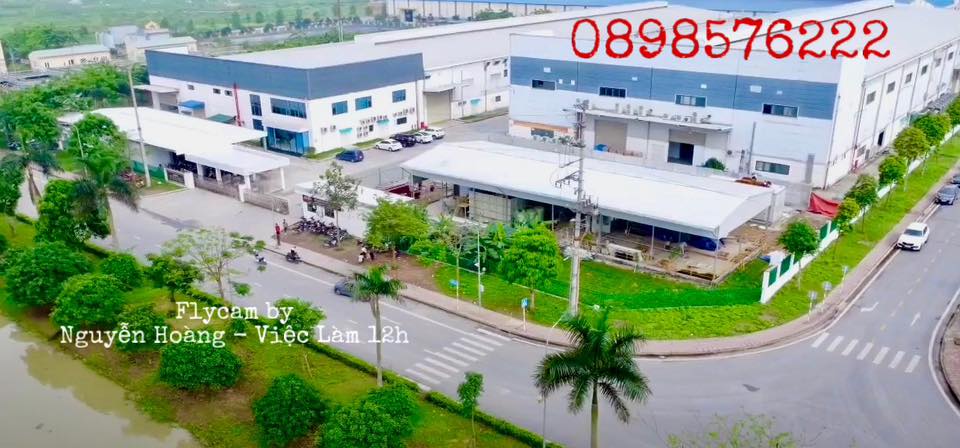 Cover image for VITALINK VIỆT NAM