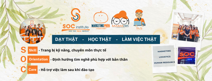 Cover image for Tổ Chức Giáo Dục SOC Institute