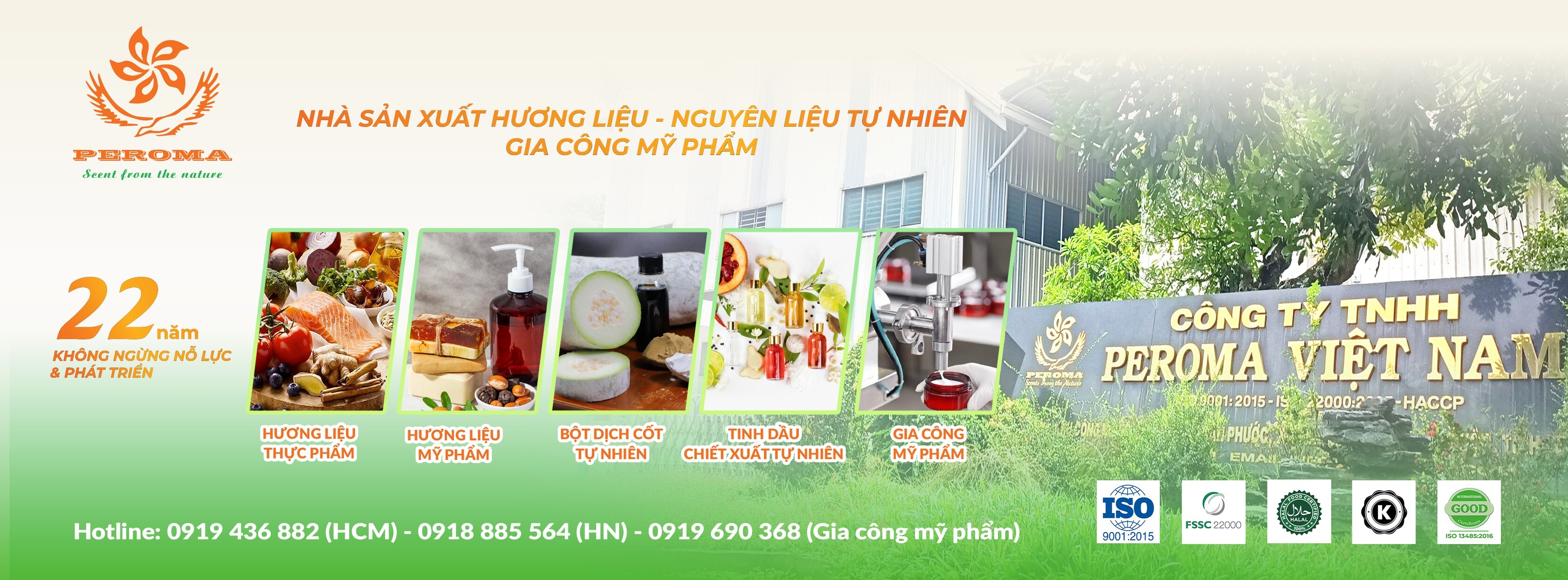 Cover image for PEROMA Việt Nam