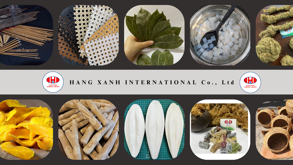 Cover image for Công ty TNHH Hàng Xanh