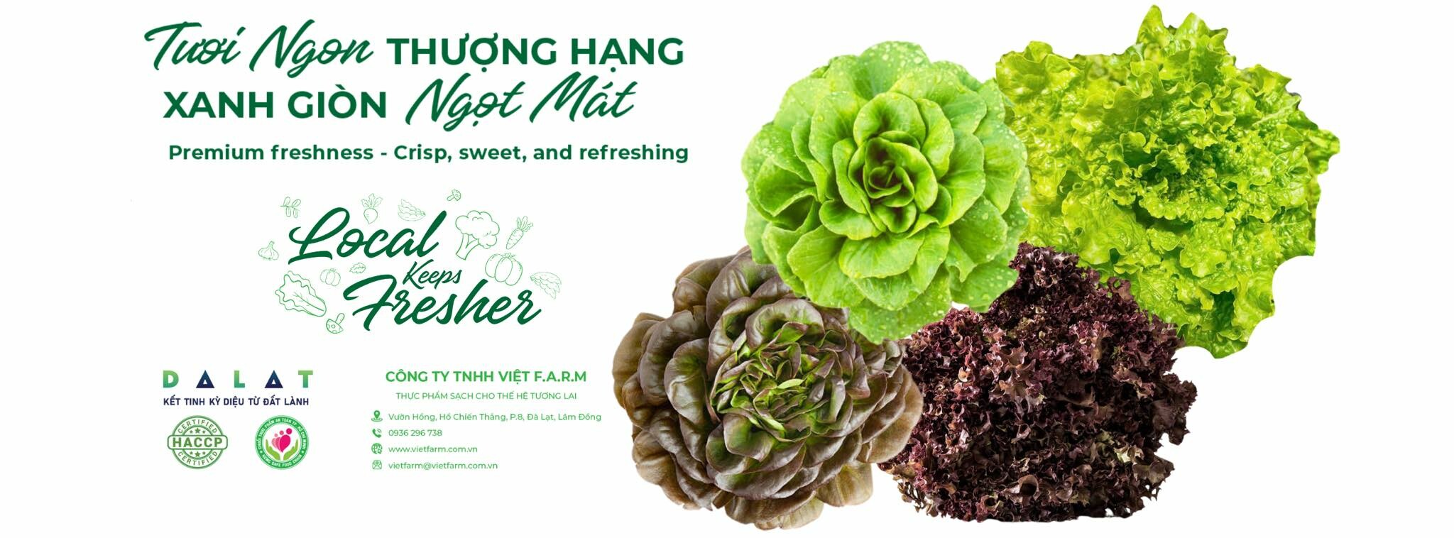 Cover image for VIỆT F.A.R.M