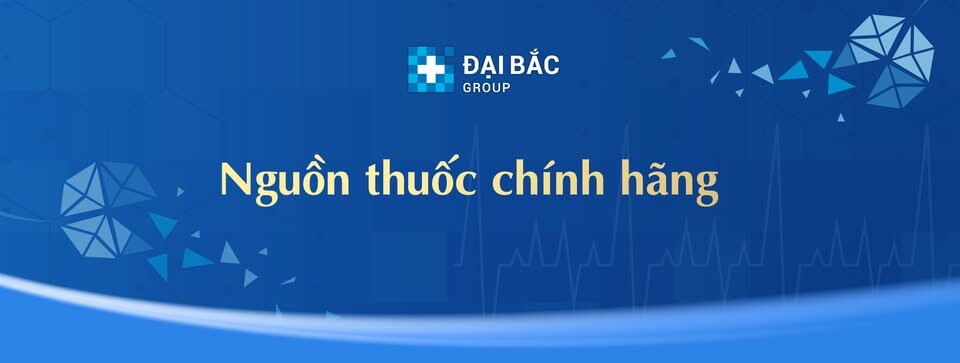 Cover image for Đại Bắc - Miền Nam