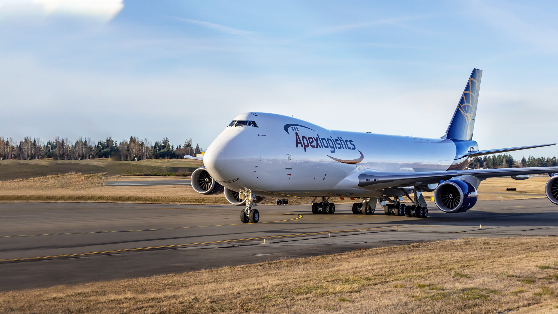 Cover image for TIẾP VẬN QUỐC TẾ APEX (VIỆT NAM)