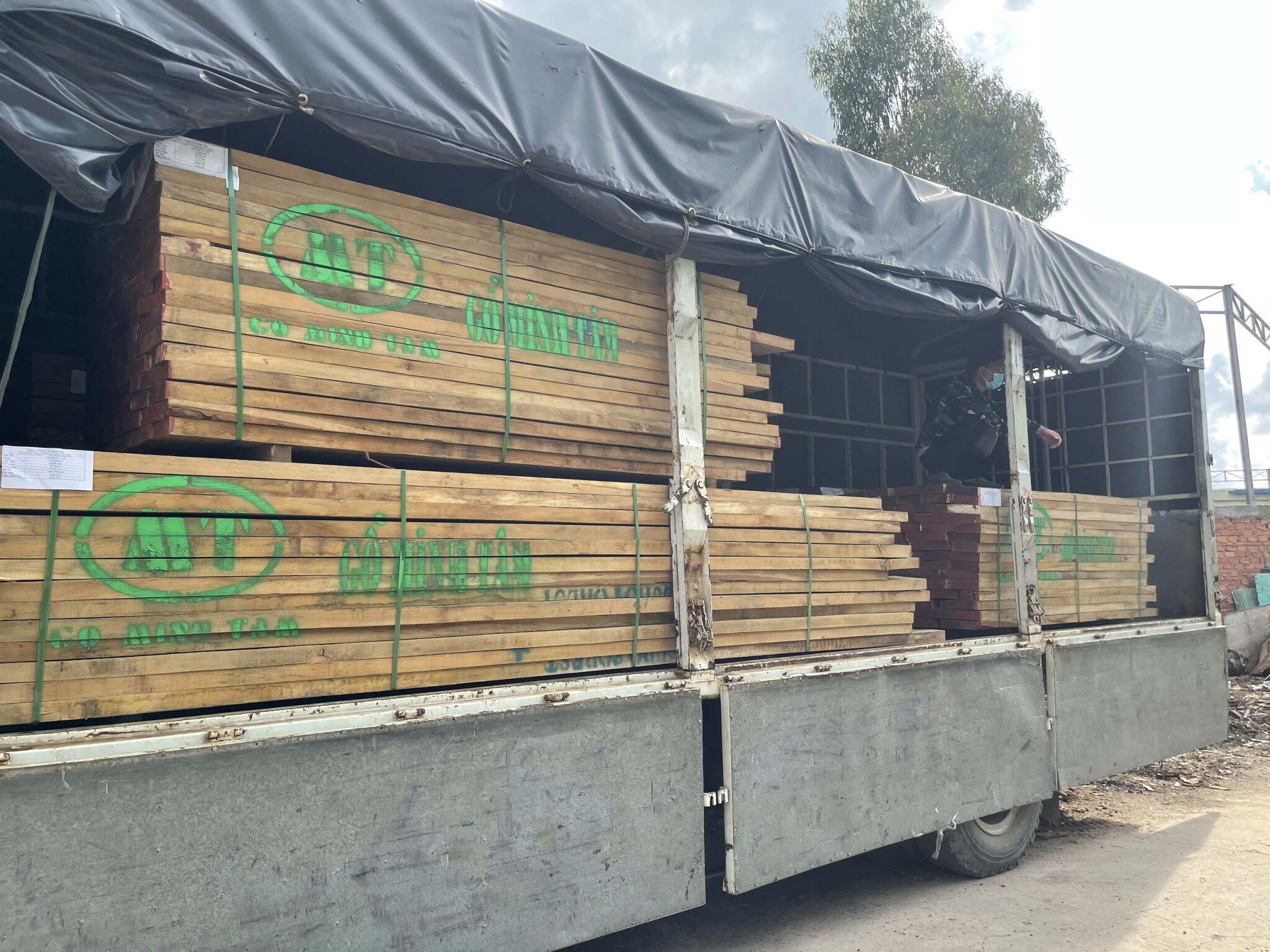 Cover image for GỖ MINH TÂM