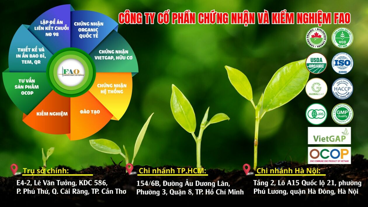 Cover image for CHỨNG NHẬN VÀ KIỂM NGHIỆM FAO