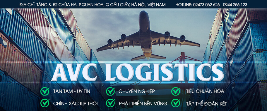 Cover image for AVC Việt Nam