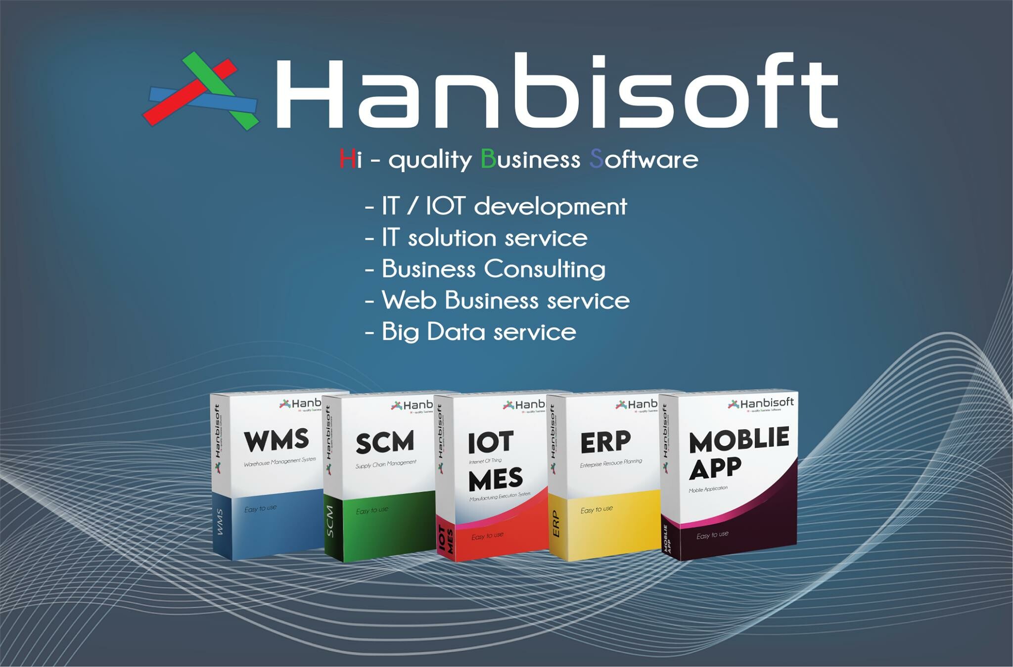 Cover image for HANBISOFT