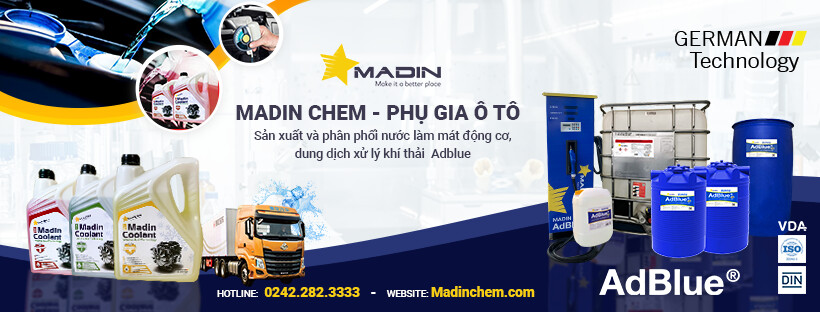 Cover image for MADIN