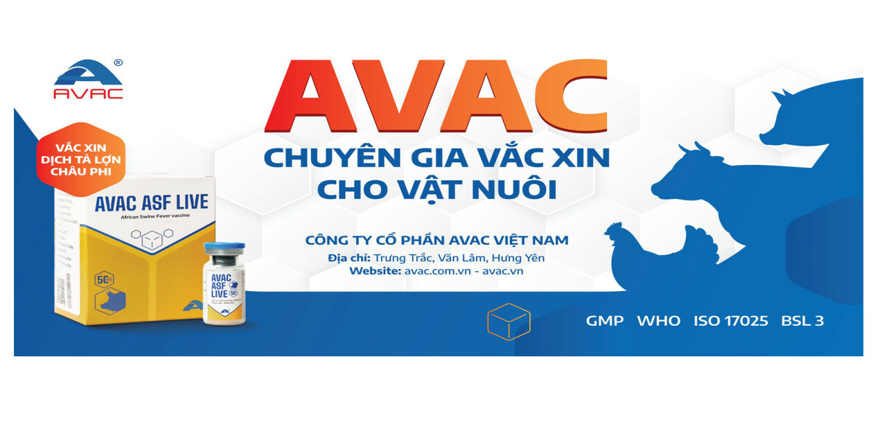 Cover image for Avac Việt Nam