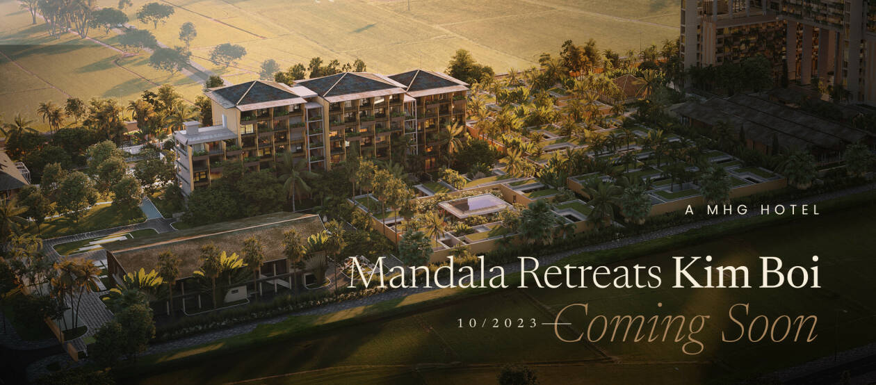 Cover image for Mandala Hospitality Group