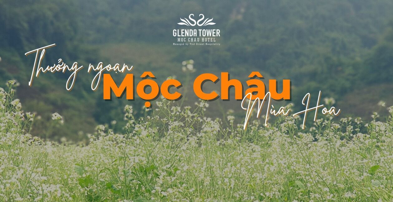 Cover image for Glenda Tower Mộc Châu