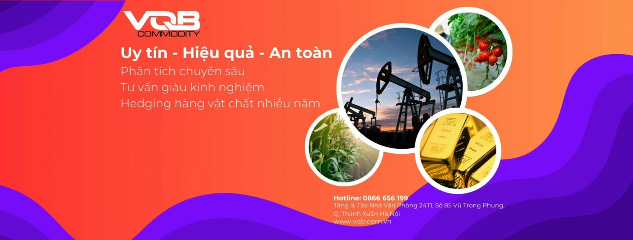 Cover image for Tập Đoàn Khoáng Sản Và Thương Mại VQB