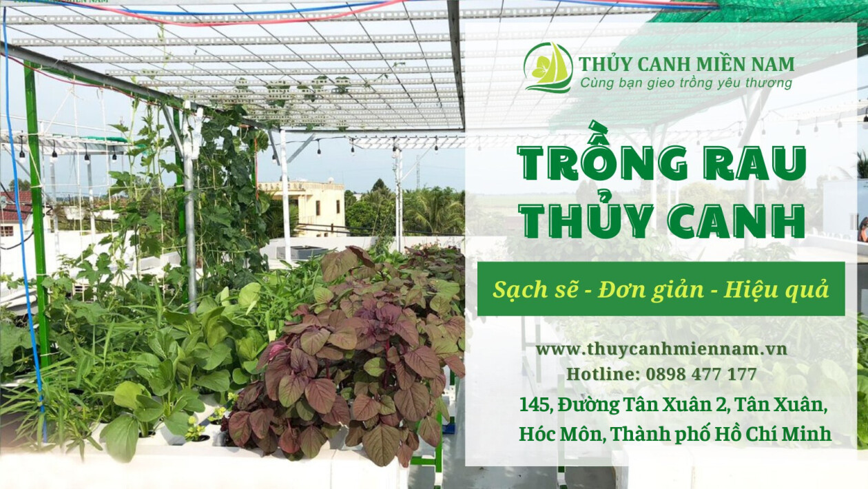 Cover image for Công Ty Cổ Phần Thủy Canh Miền Nam