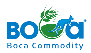 Cover image for BOCA COMMODITY JOINT STOCK COMPANY