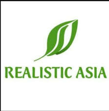 Cover image for Realistic ASIA Co.,ltd