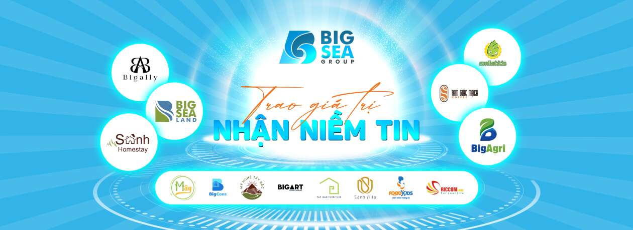 Cover image for Bigsea group