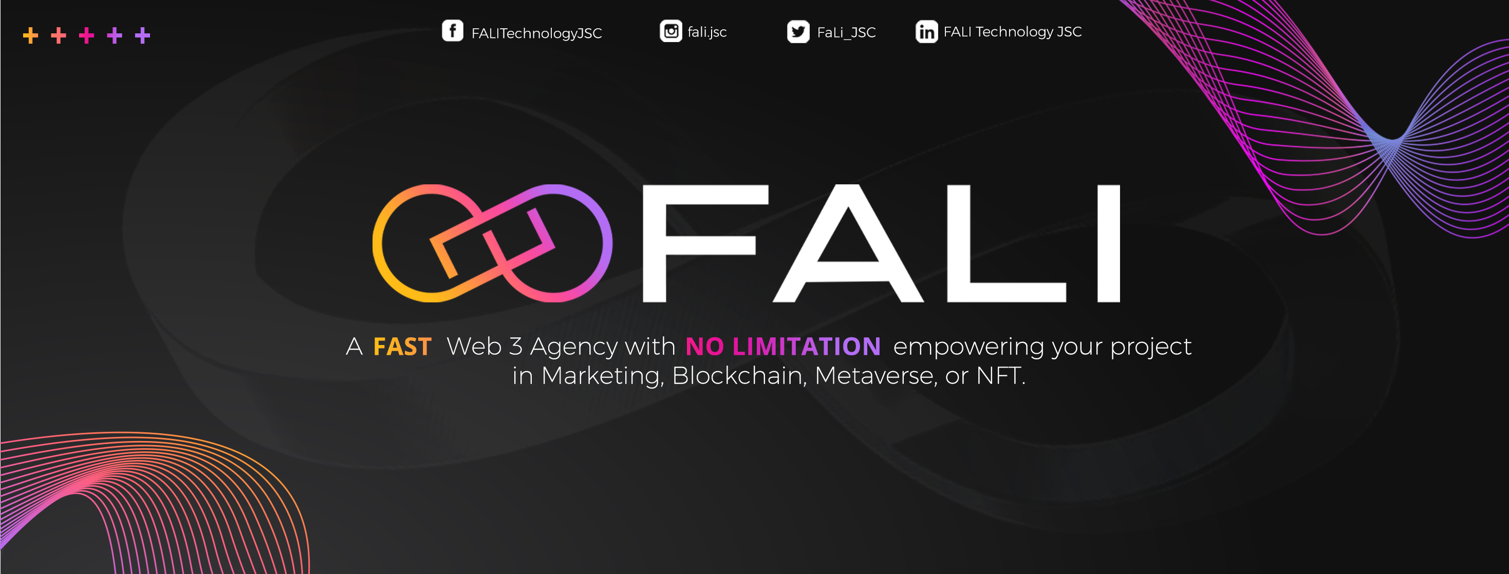 Cover image for FALI Technology Jsc
