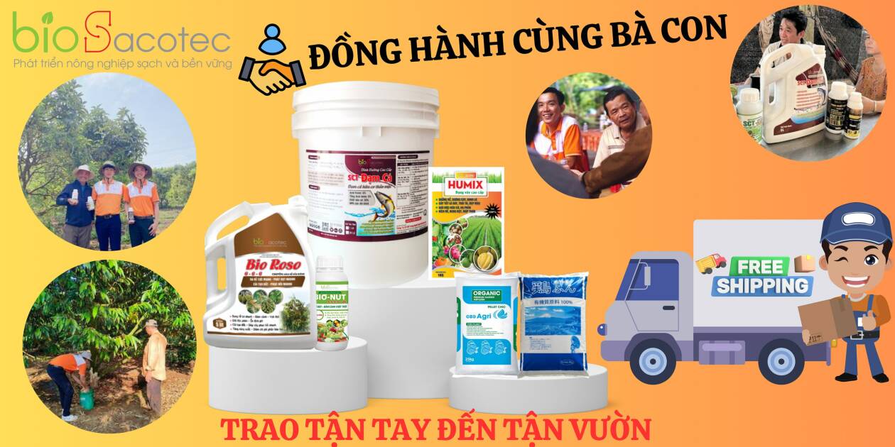 Cover image for CÔNG TY CỔ PHẦN ĐẦU TƯ CÔNG NGHỆ SẠCH BIOSACOTEC