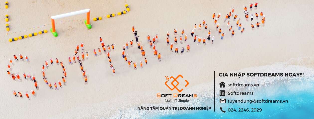 Cover image for Softdreams