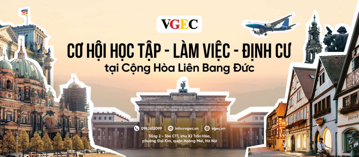 Cover image for VGEC