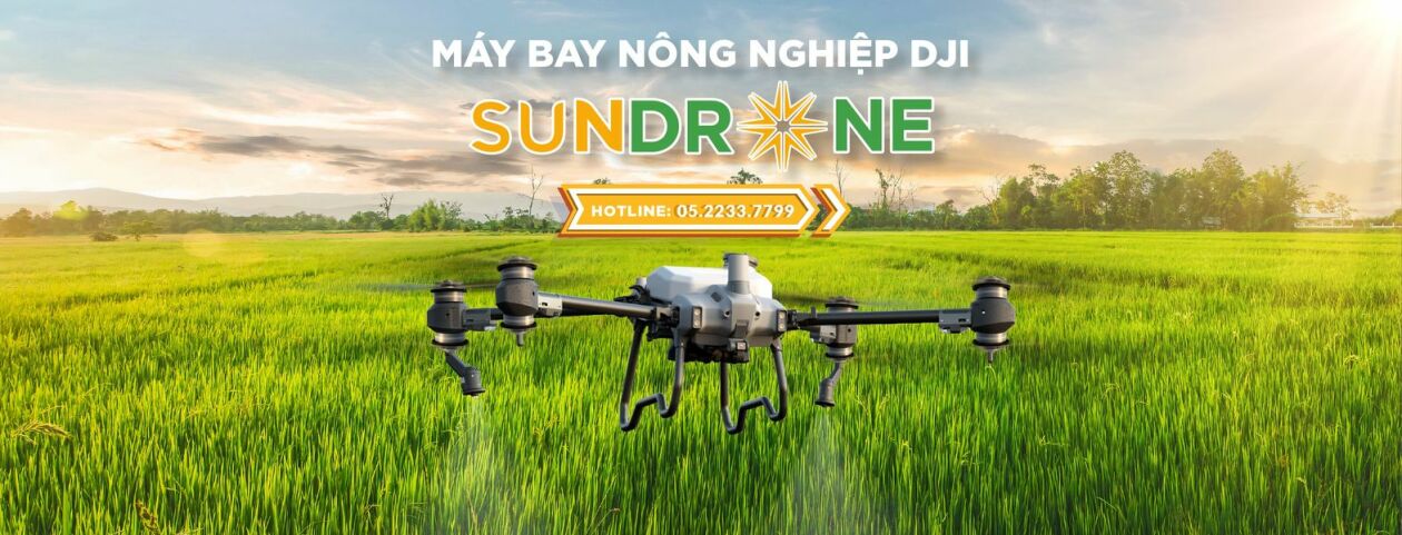 Cover image for Sundrone Việt Nam