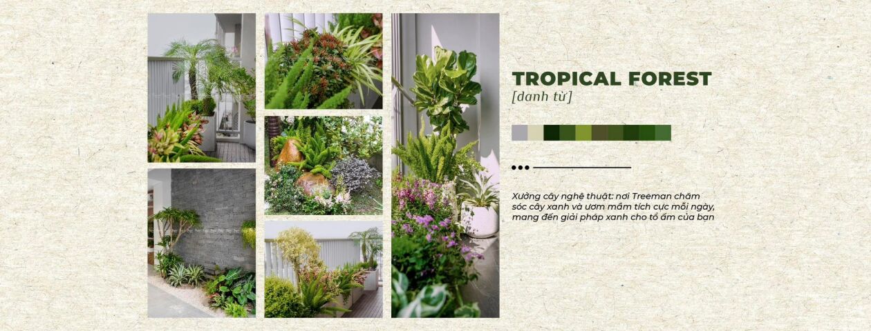 Cover image for Tropical Group