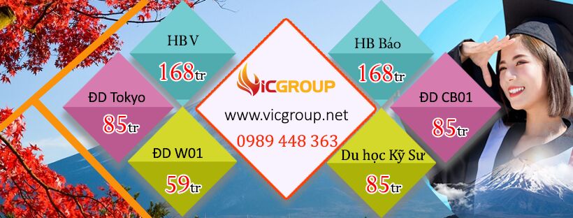 Cover image for Vicgroup Việt Nam