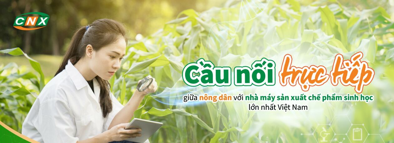 Cover image for Công Nghệ Xanh Việt Nam