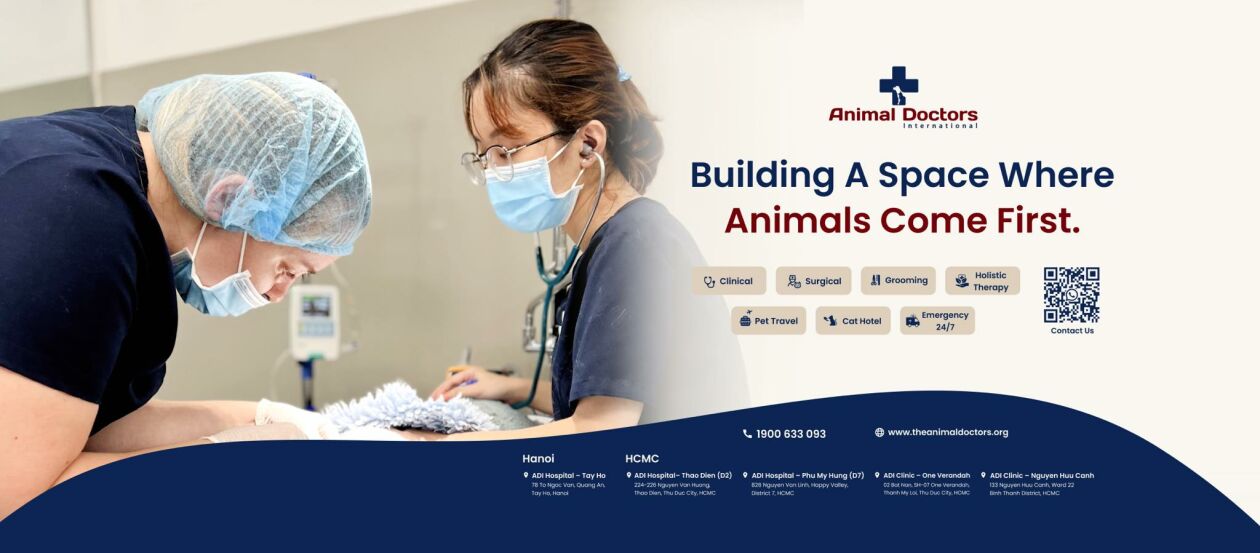 Cover image for Animal Doctors International Việt Nam