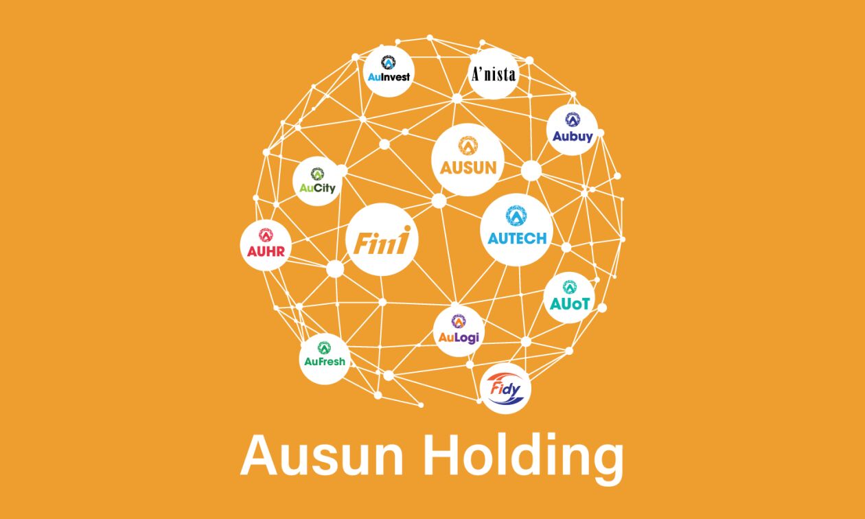 Cover image for AUSUN HOLDING