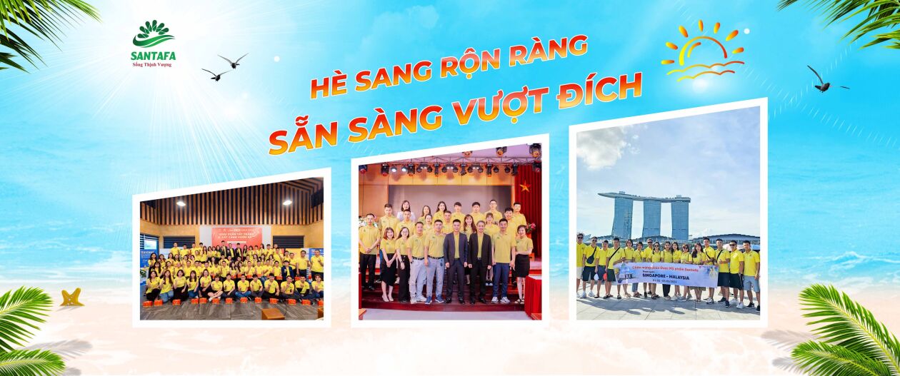 Cover image for Dược - Mỹ phẩm Santafa