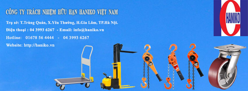 Cover image for HANIKO VIỆT NAM