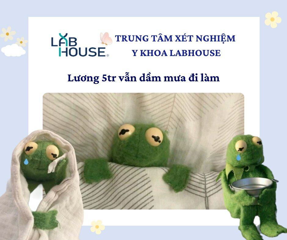 Cover image for LABHOUSE VIỆT NAM