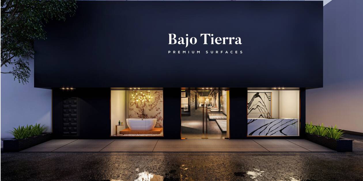 Cover image for Lion Stone