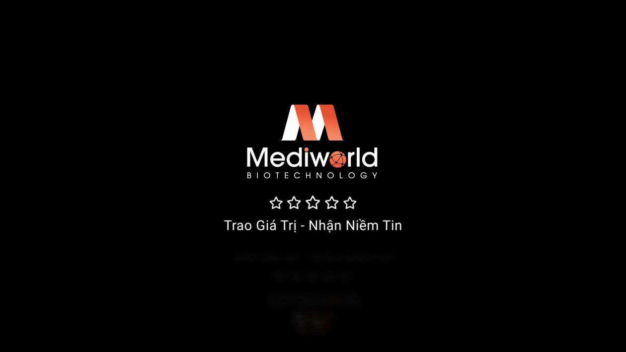 Cover image for MEDIWORLD