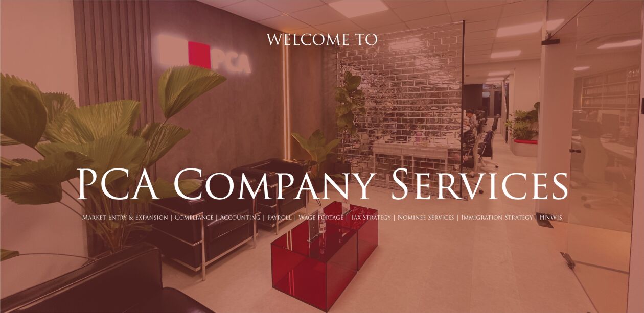 Cover image for Pca Company Services