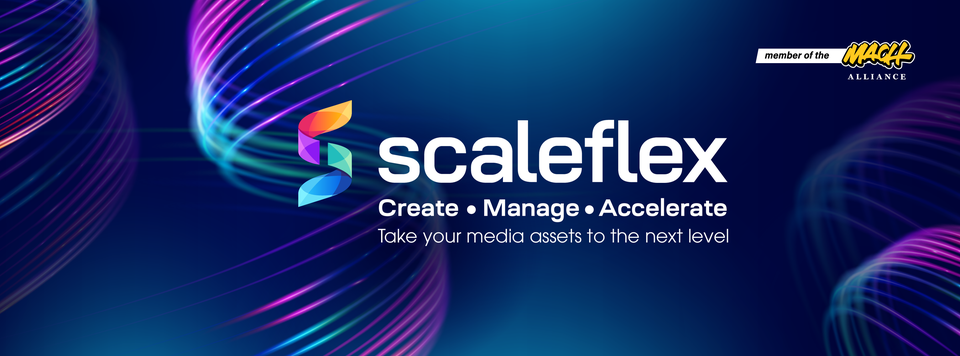 Cover image for Scaleflex