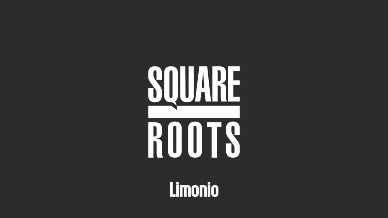 Cover image for Square Roots