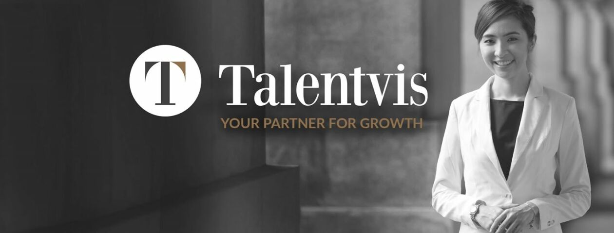 Cover image for Talentvis